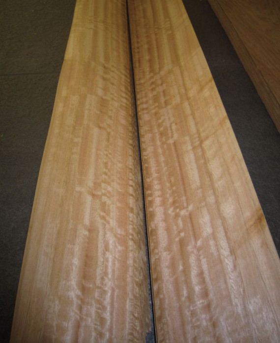 T114-2 Eucalyptus 9,5x101cm 3euro