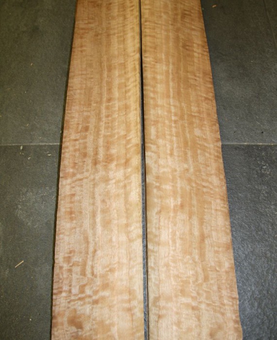 T120-2 Eucalyptus 10x102cm 2,50euro