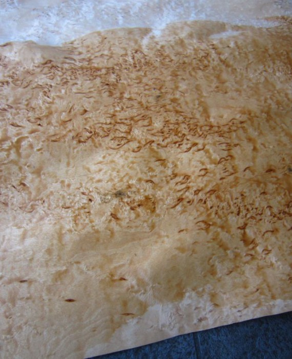 F580-5 Karelisch Berken (Wortel)60x72cm
