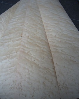 Birdseye Maple 140x12/17cm