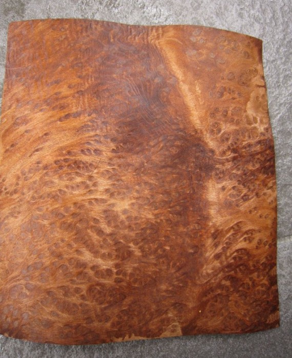 g143-3-redwood-wortel-16x17cm