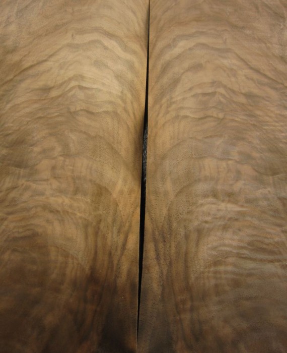 G229-1 Noten Wortel 25,5x53cm