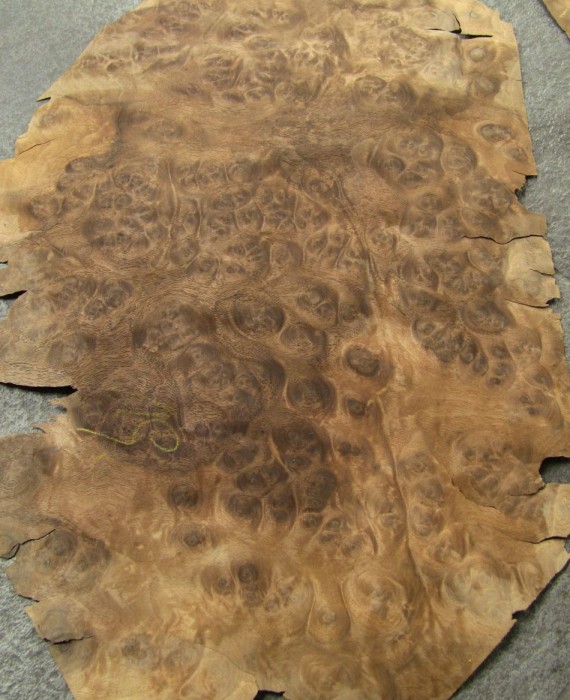 G278-2 Noten Wortel 21-29x40cm