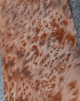 Vavona Wortel 7,5/13x25/33cm