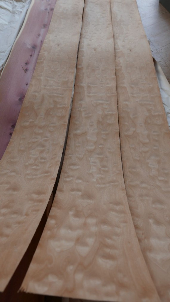 A0157-3 Esdoorn Geappeld (Quilted Maple) 14.5-15.5x209cm 7st